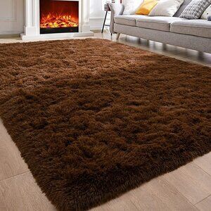 NEW Soft Area Rugs for Bedroom Living Room Fluffy Carpets, 4 x 6 Feet, Brown